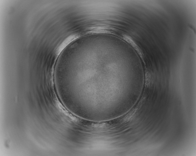 X0000100851386200806201204