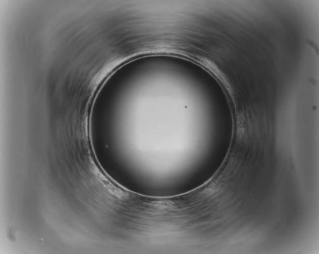 X0000100851388200806201204