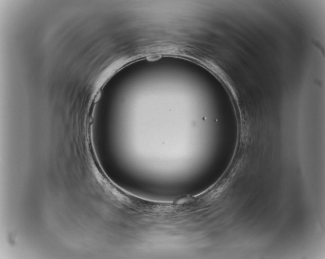X0000100851389200806201204