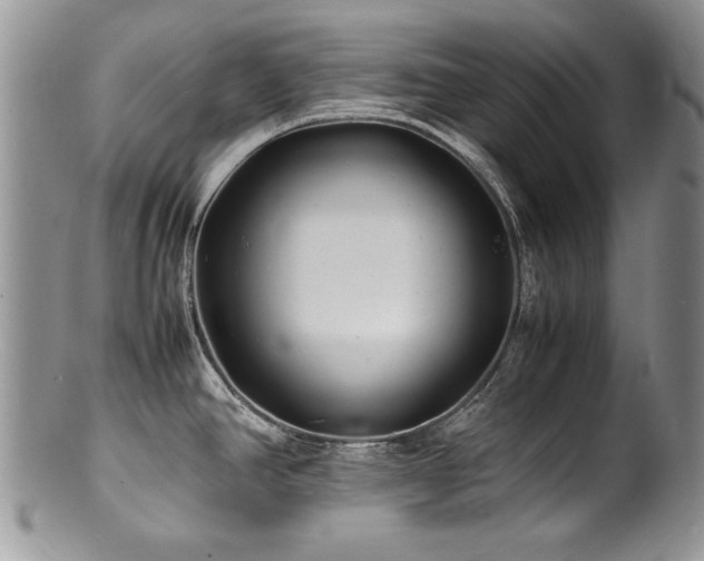 X0000100851390200806201204