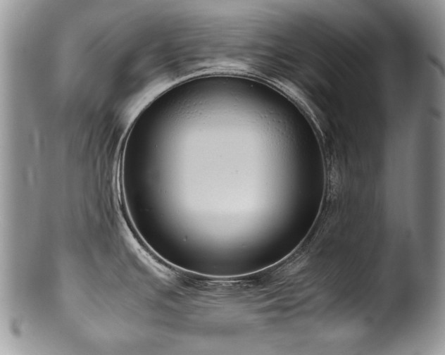 X0000100851391200806201204