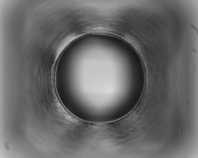 X0000100851392200806201204