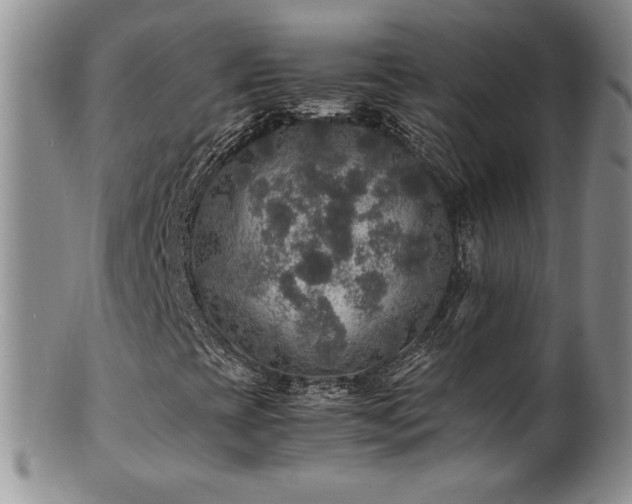 X0000100851393200806201203