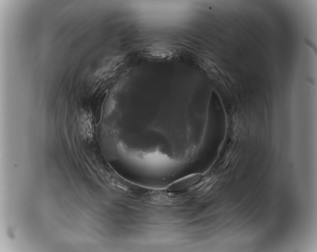 X0000100851394200806201203