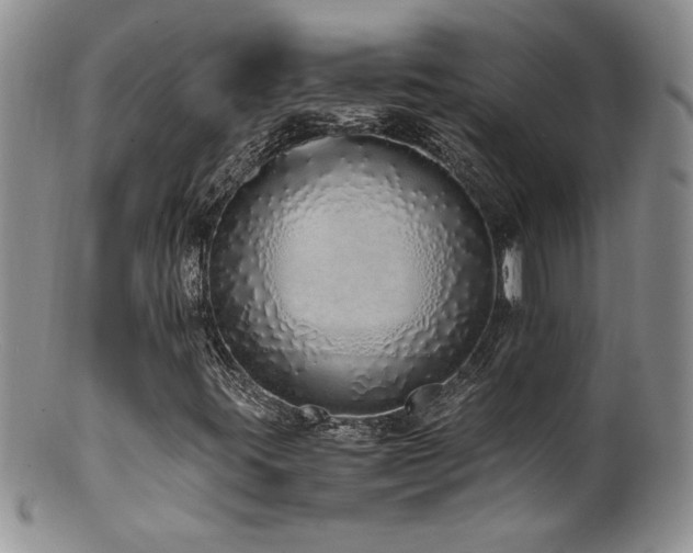X0000100851395200806201203
