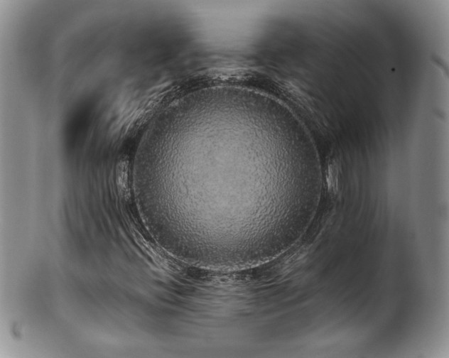 X0000100851396200806201203