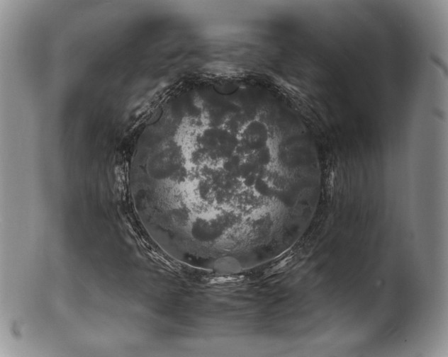 X0000100851397200806201203