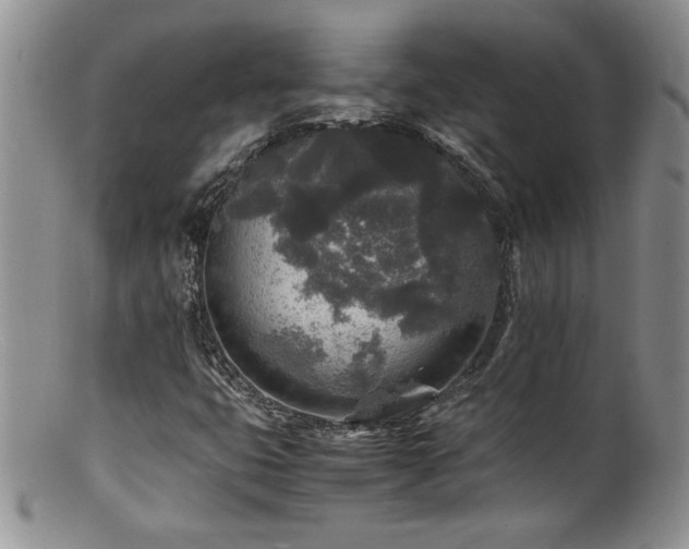 X0000100851399200806201203