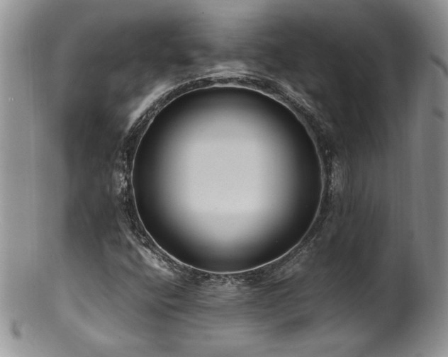 X0000100851400200806201203