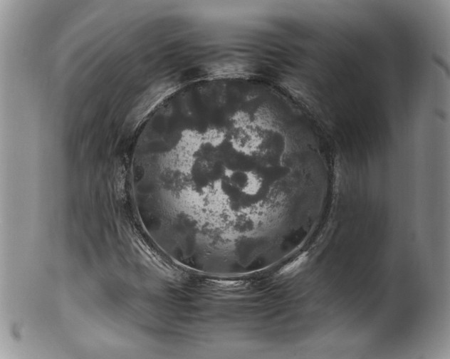X0000100851401200806201203