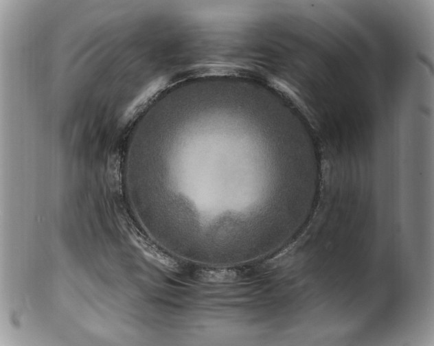 X0000100851403200806201203