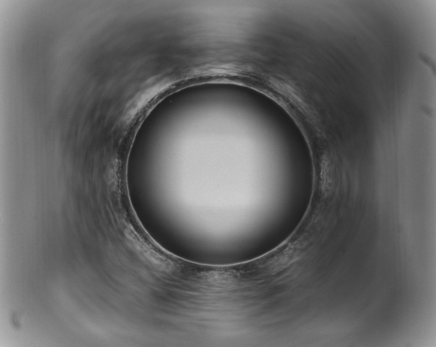 X0000100851404200806201203