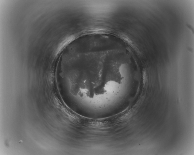 X0000100851405200806201203