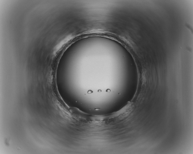 X0000100851406200806201203