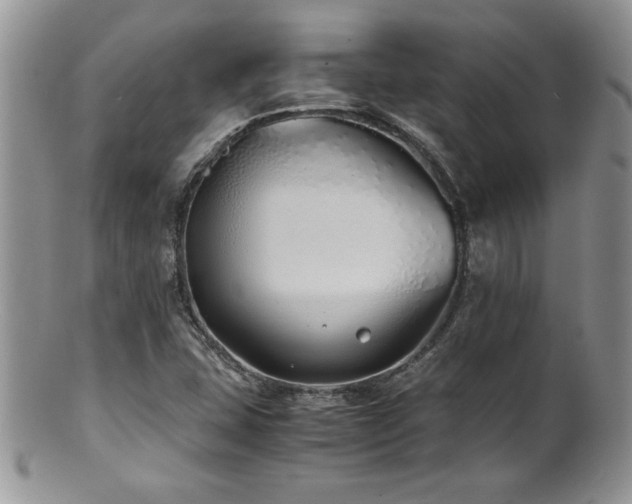 X0000100851407200806201203