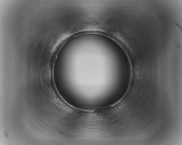 X0000100851408200806201203