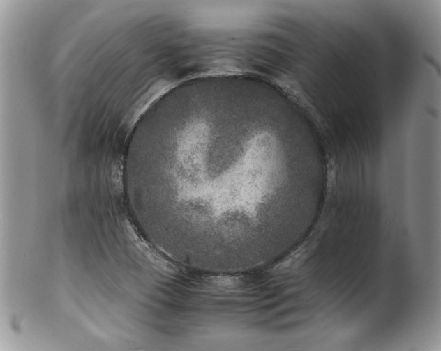 X0000100851409200806201203