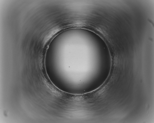 X0000100851410200806201203