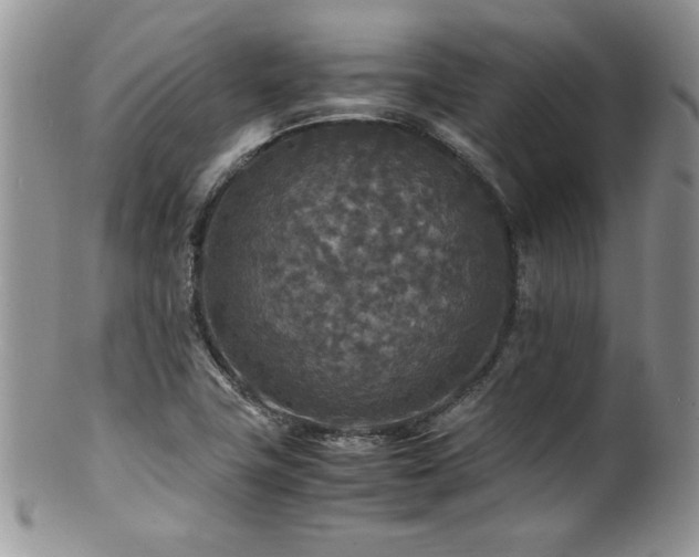X0000100851411200806201203