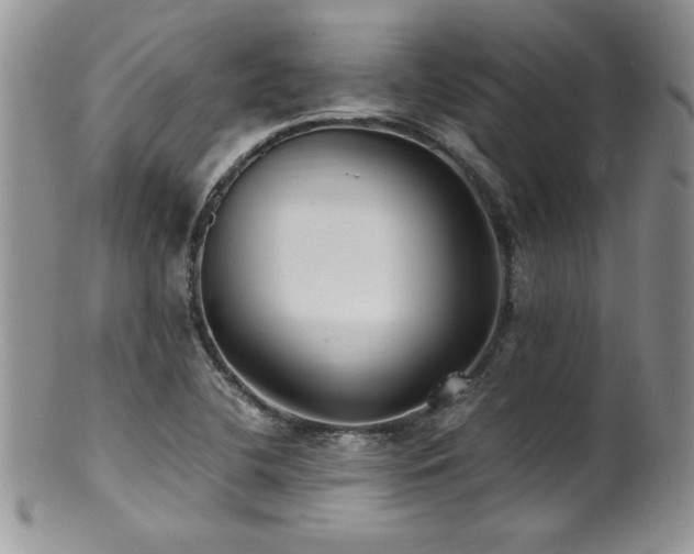 X0000100851412200806201203