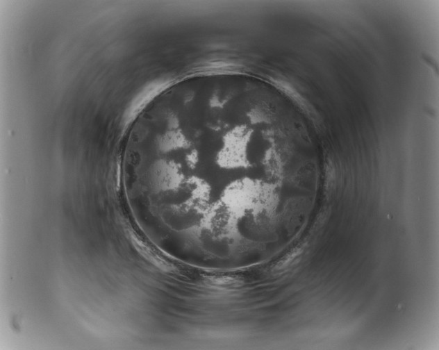 X0000100851413200806201203