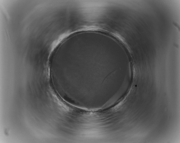 X0000100851414200806201203