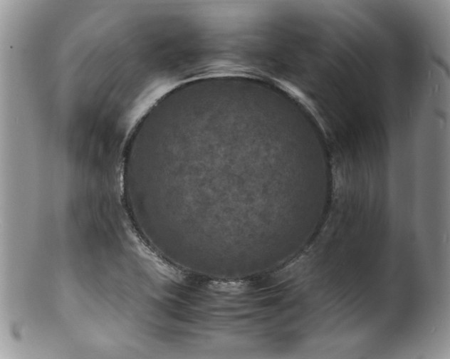 X0000100851415200806201203