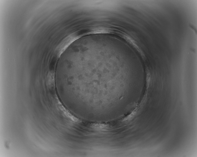 X0000100851417200806201203