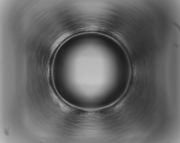 X0000100851418200806201203