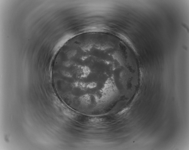 X0000100851419200806201203