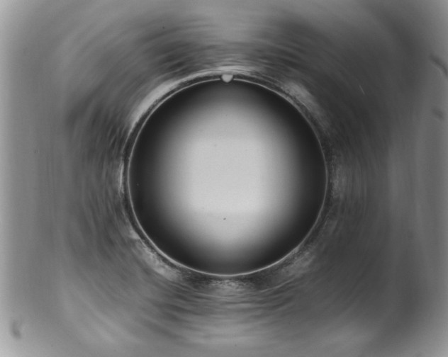 X0000100851420200806201203