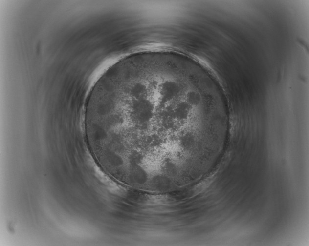 X0000100851421200806201203