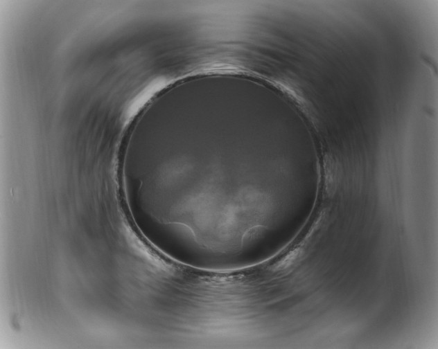 X0000100851422200806201203