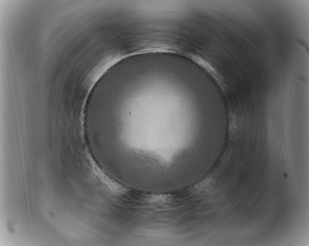 X0000100851423200806201203