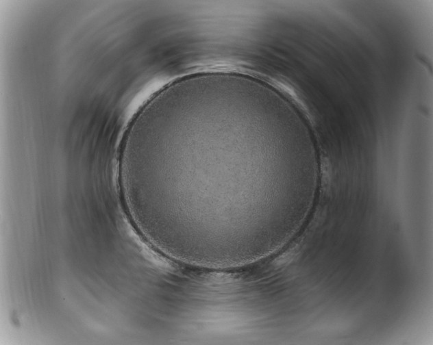X0000100851424200806201203