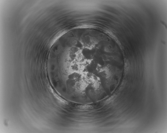 X0000100851425200806201203