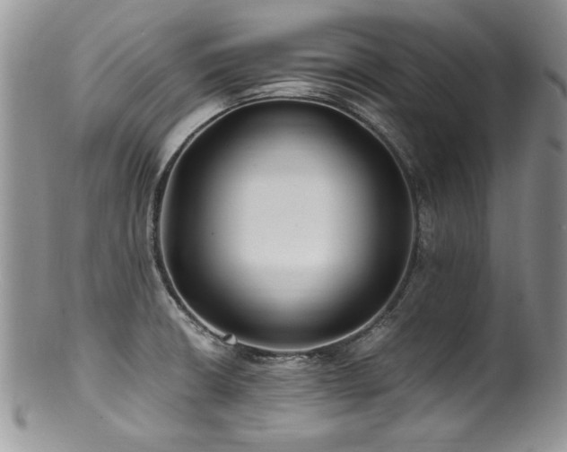 X0000100851426200806201203