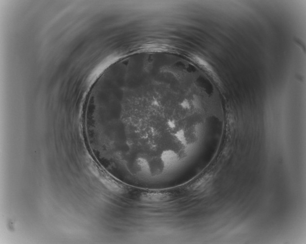 X0000100851427200806201203