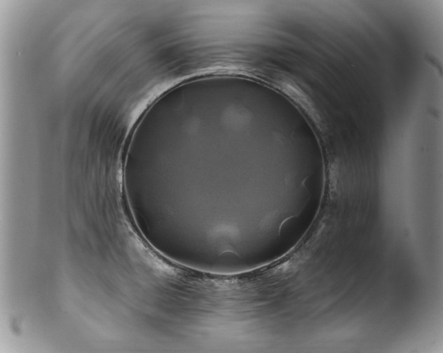 X0000100851428200806201203