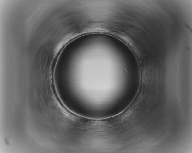 X0000100851430200806201203