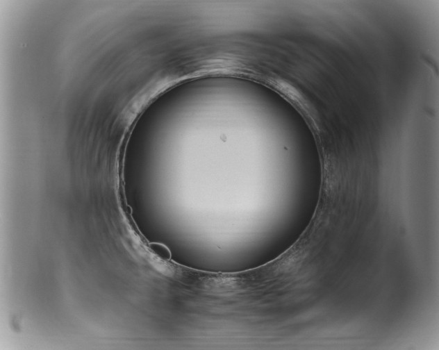 X0000100851431200806201204