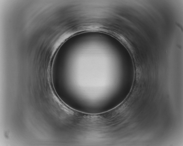 X0000100851432200806201204