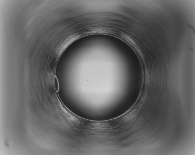 X0000100851433200806201204