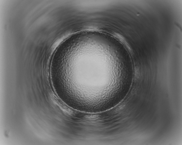 X0000100851435200806201204