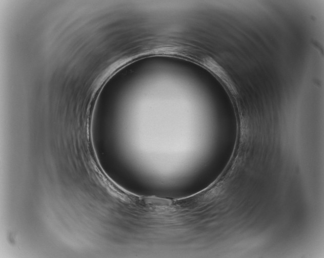 X0000100851436200806201204