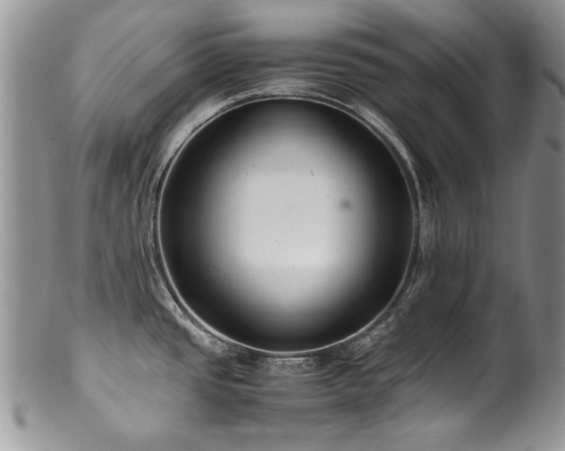 X0000100851437200806201204