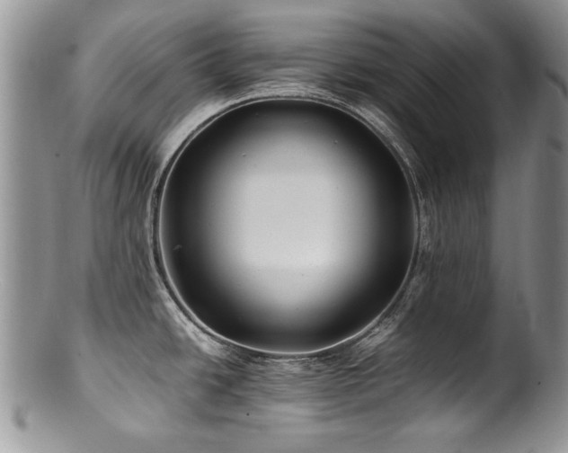 X0000100851438200806201204