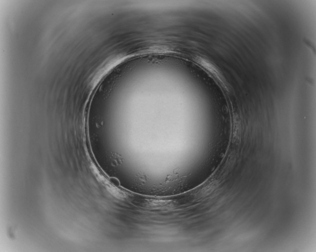 X0000100851439200806201204