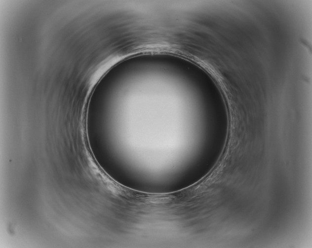 X0000100851440200806201204