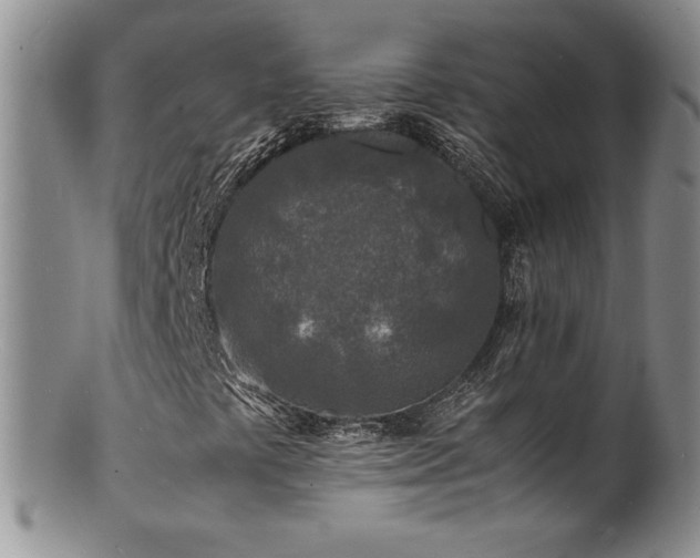 X0000100851441200806201203